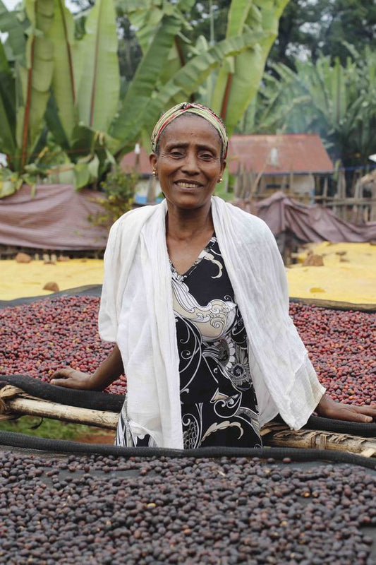Roastery News #66