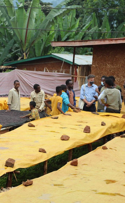 Roastery News #75