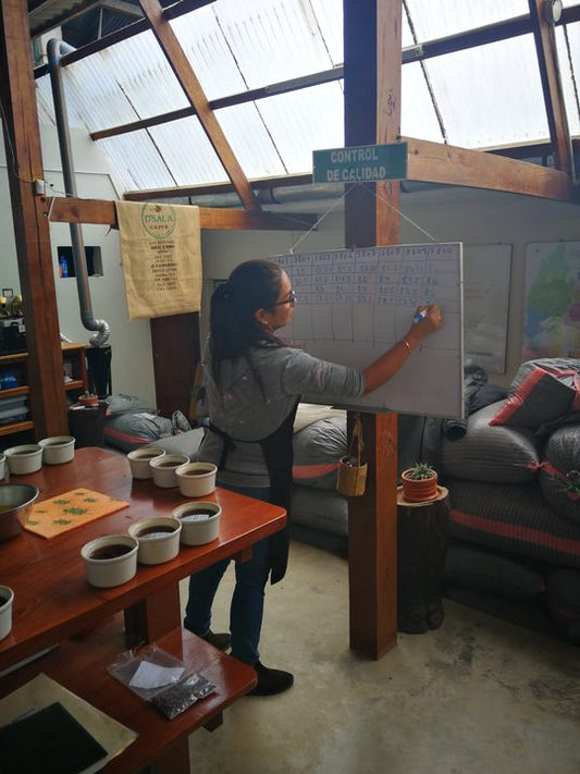 Roastery News #67