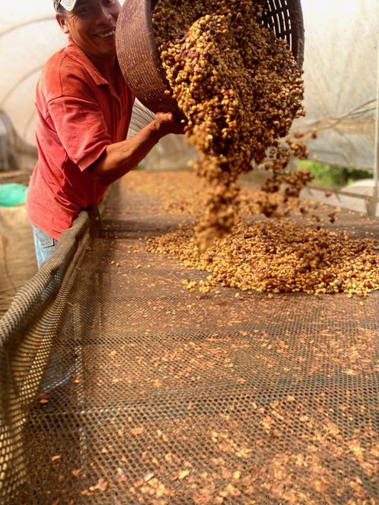 Roastery News #68