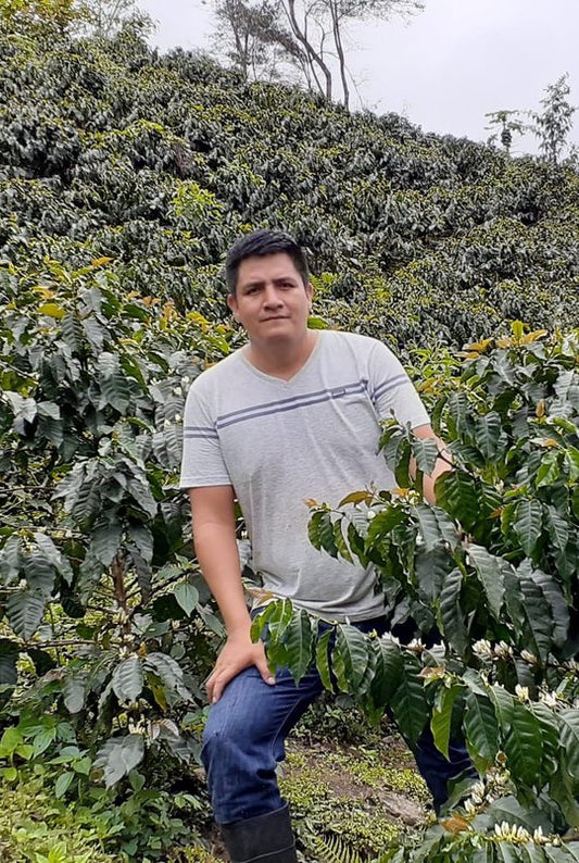 Roastery News #73