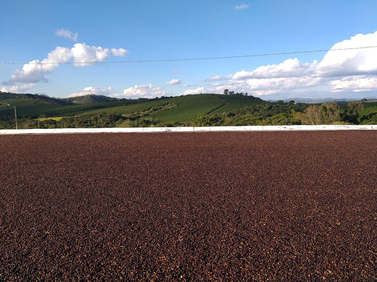 Brésil - Campo Alegre