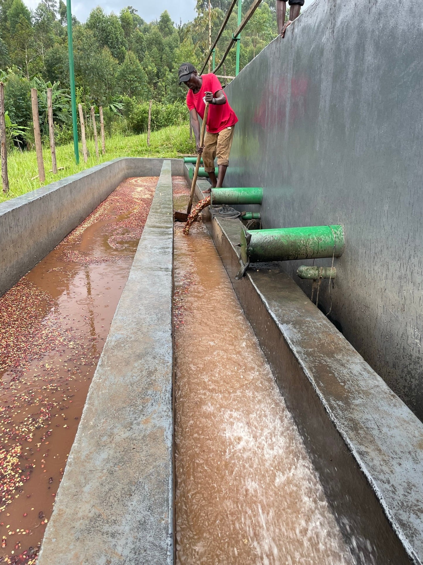 Espresso - Burundi - Gakenke