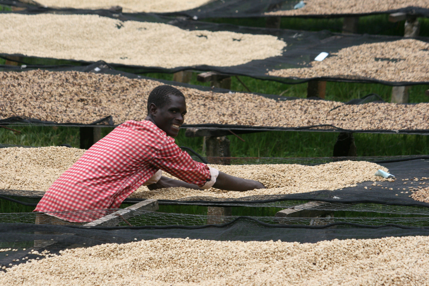 Burundi - Kibingo Oro