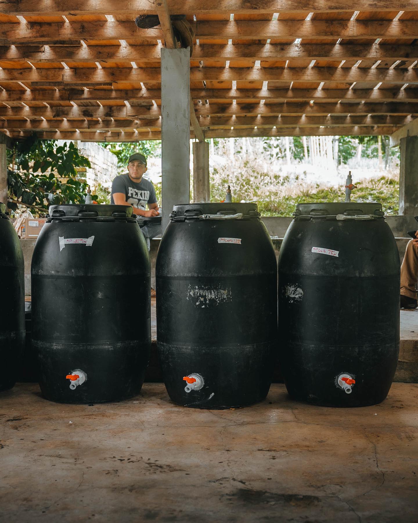 Colombie - Aroma Nativo PB 1178