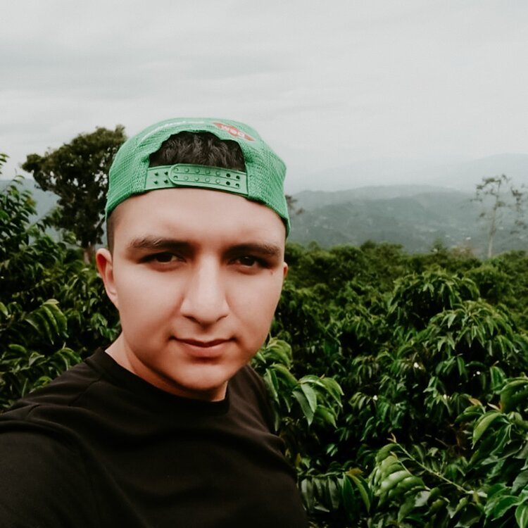 Colombie - El Diviso Aji