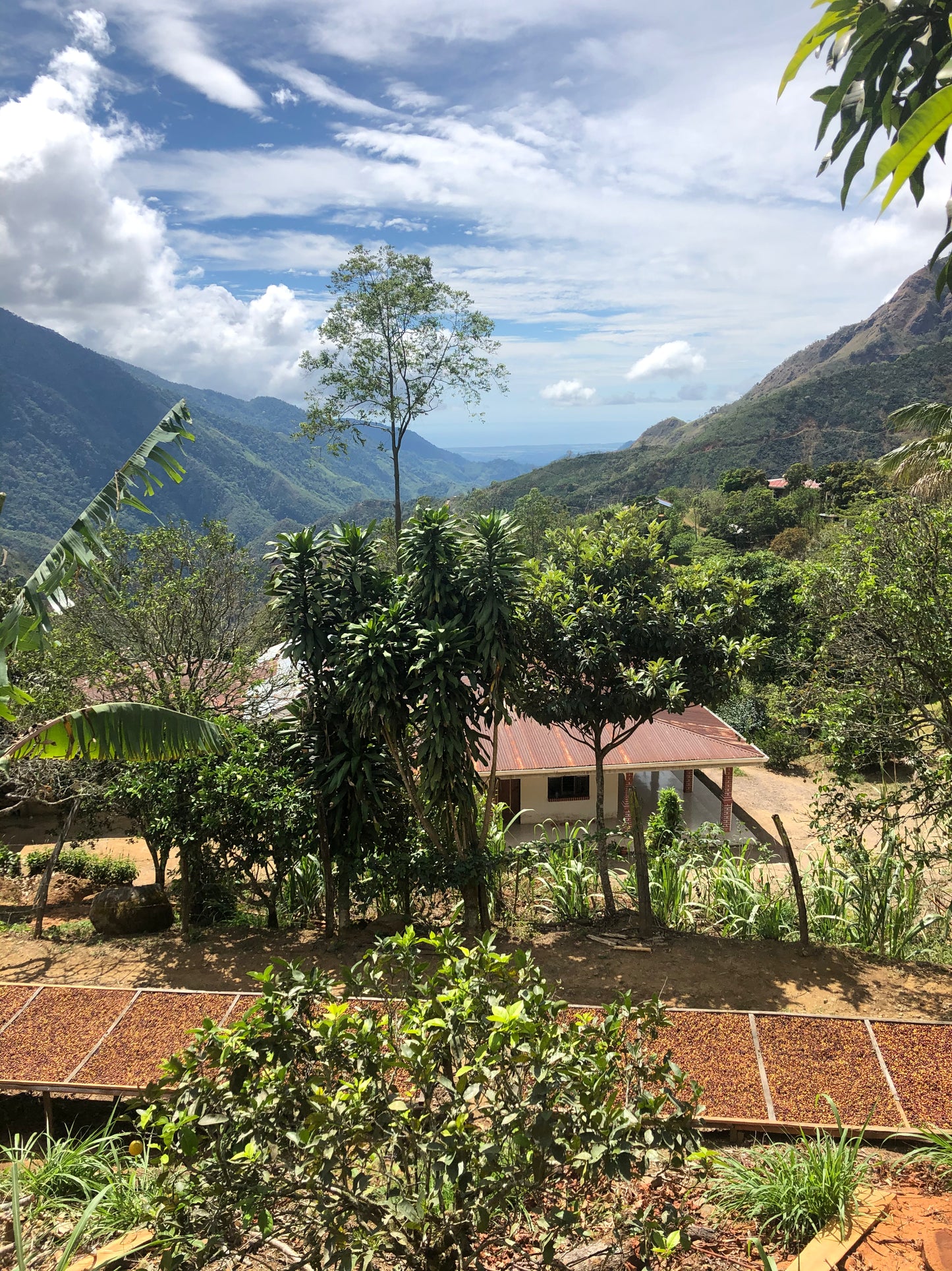 Costa Rica - La Laguna