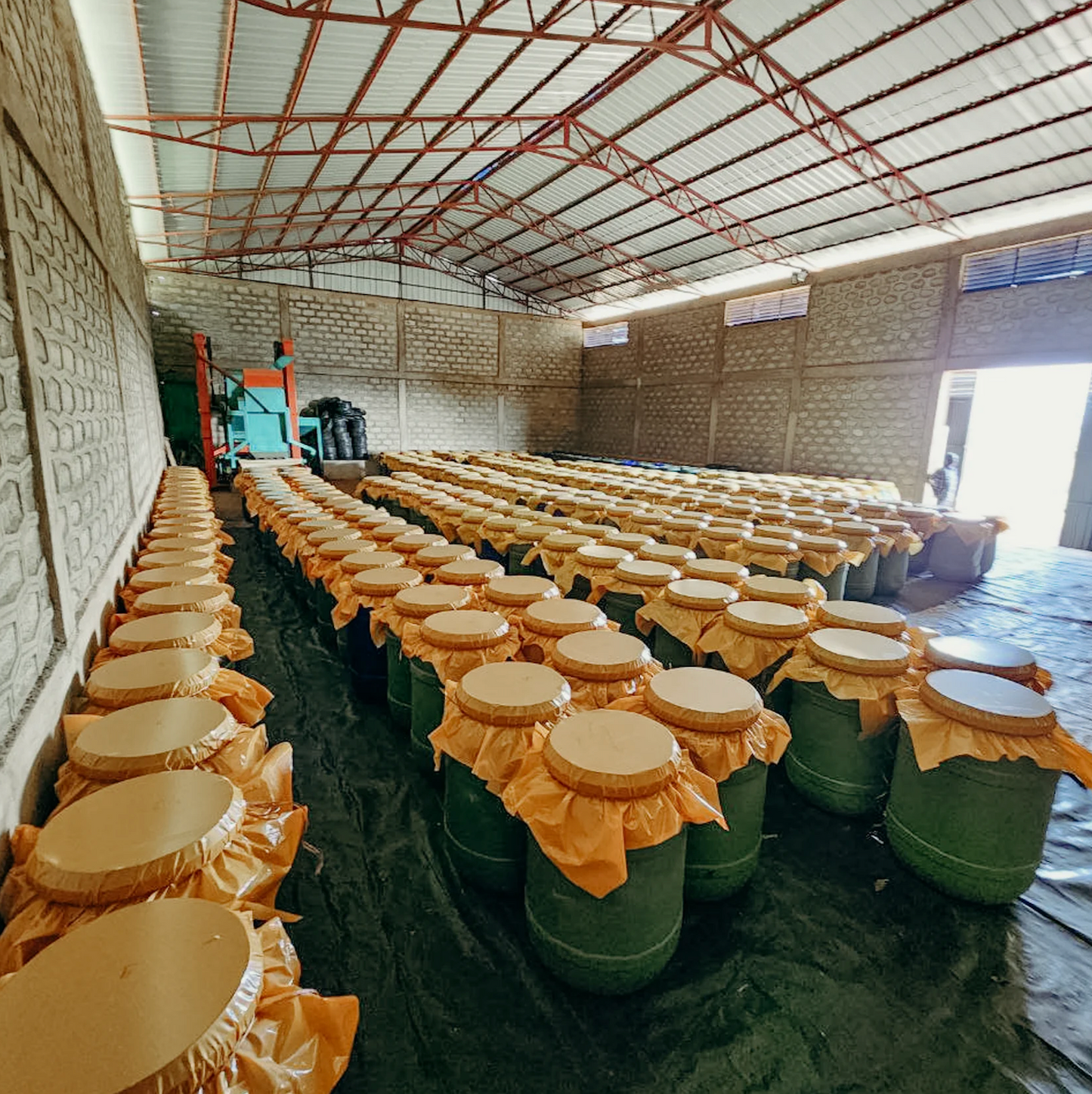 Ethiopie - Banko Gotiti