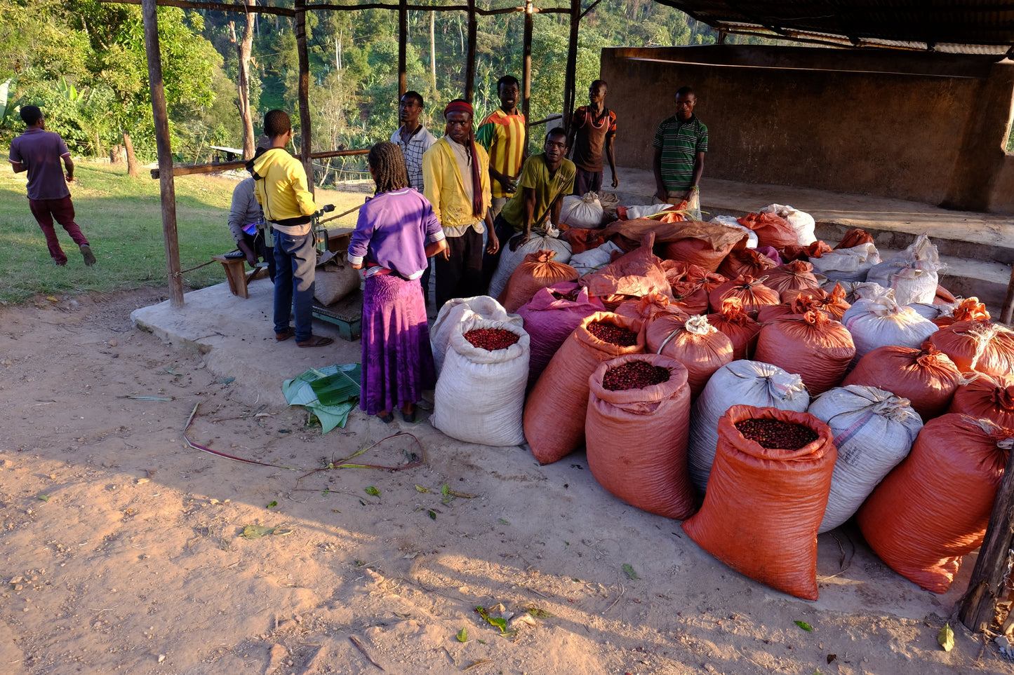 Espresso - Ethiopie - Uraga Anaerobic
