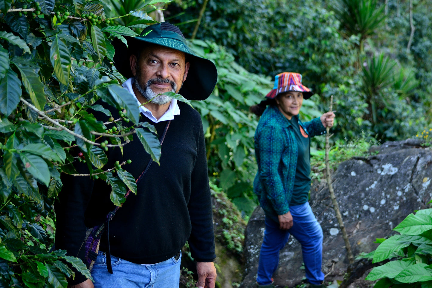Espresso - Guatemala - Mauricio Rosales