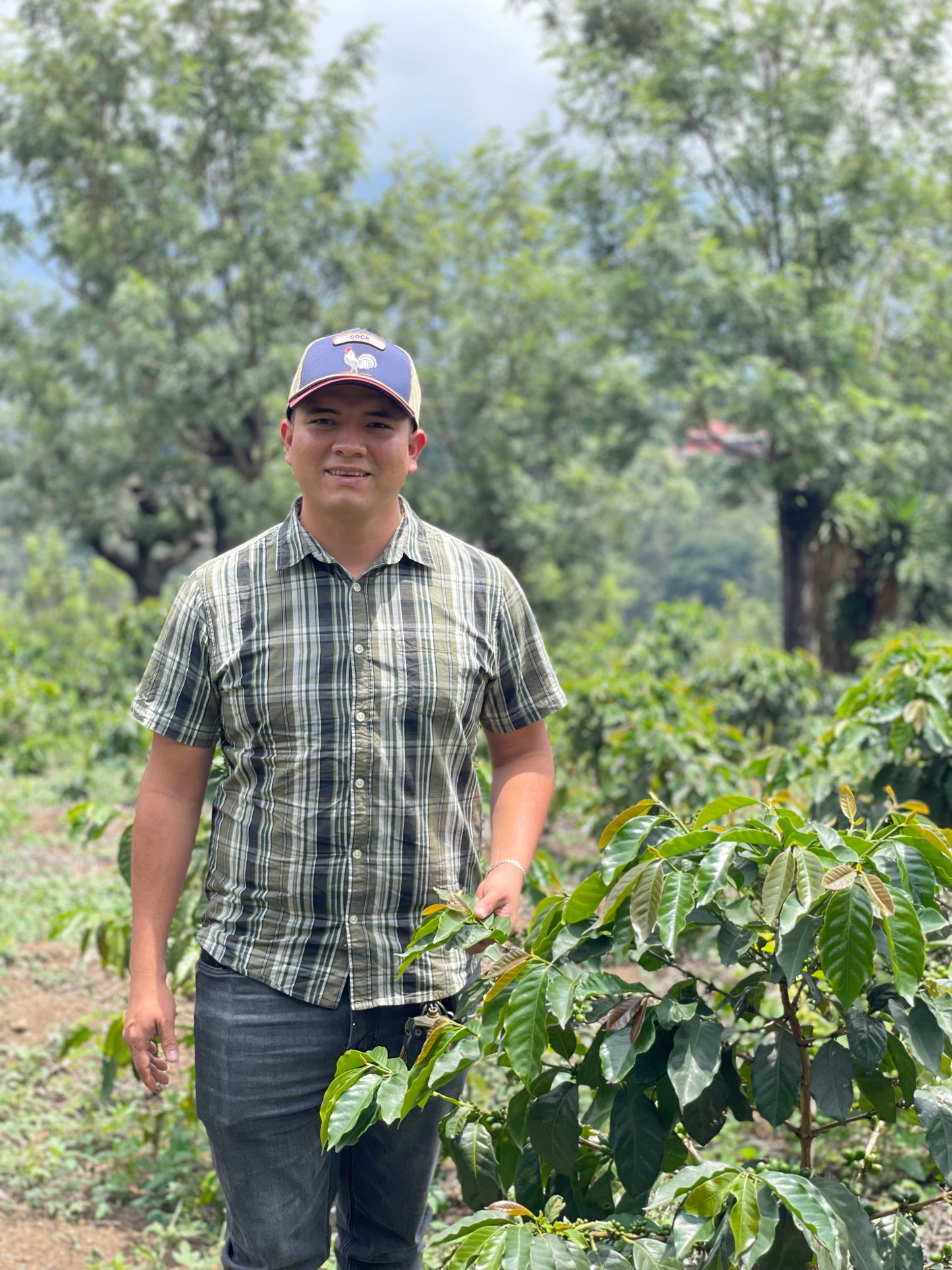 Espresso - Guatemala - La Pampa