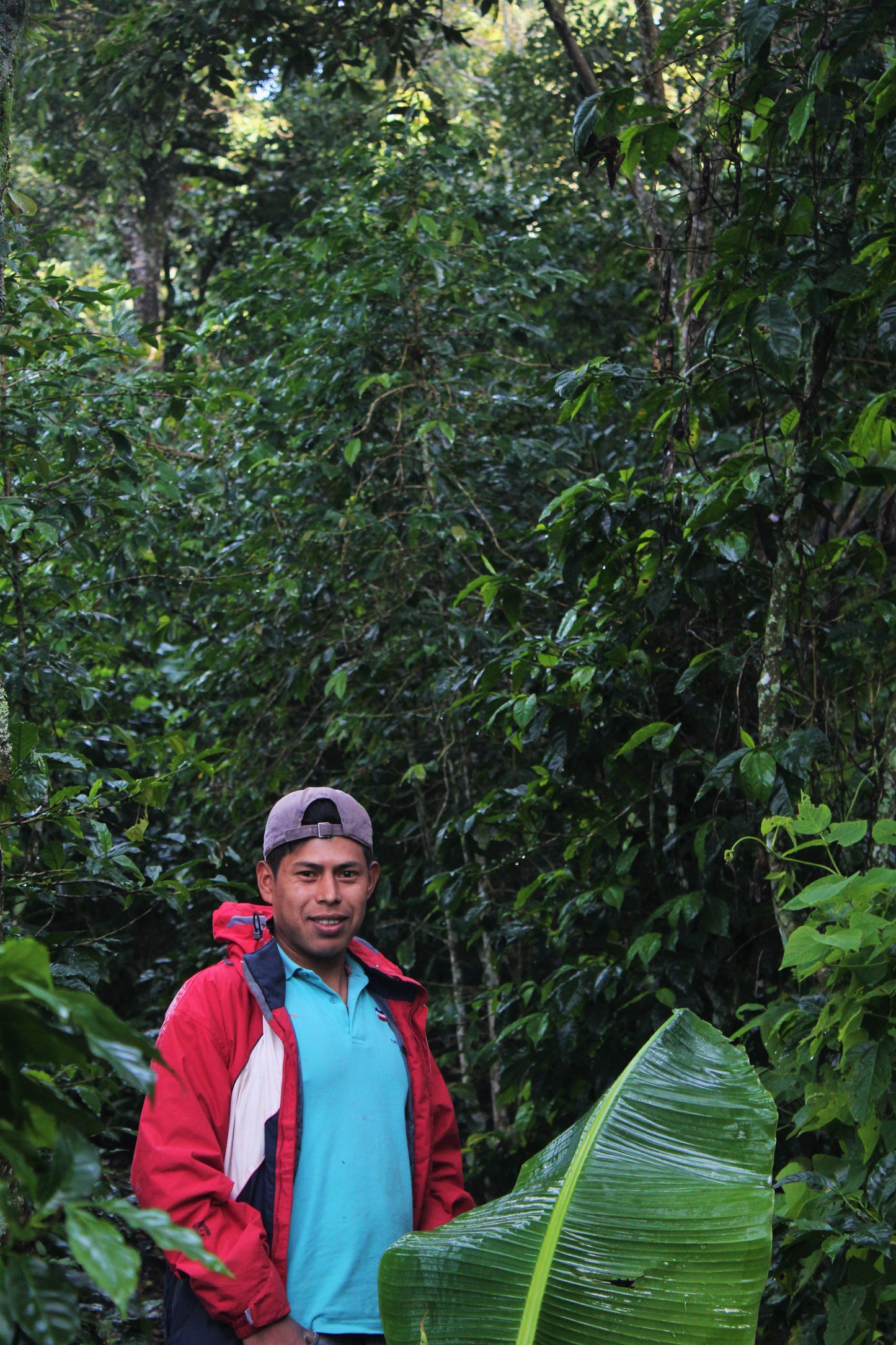 Espresso - Honduras - Al Arada