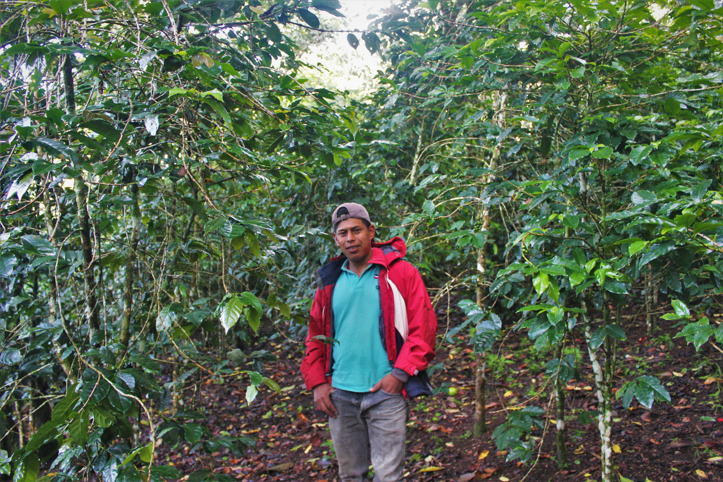Espresso - Honduras - Al Arada