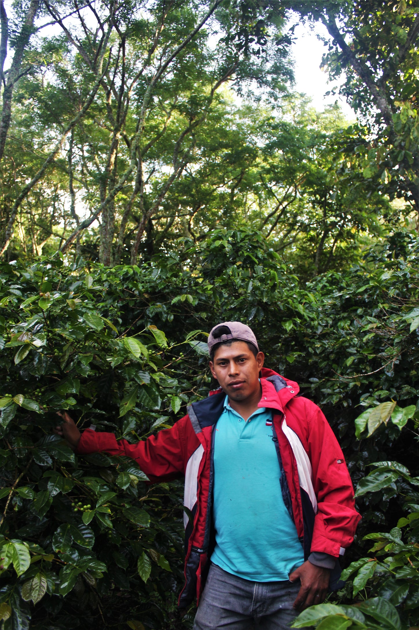 Espresso - Honduras - Al Arada