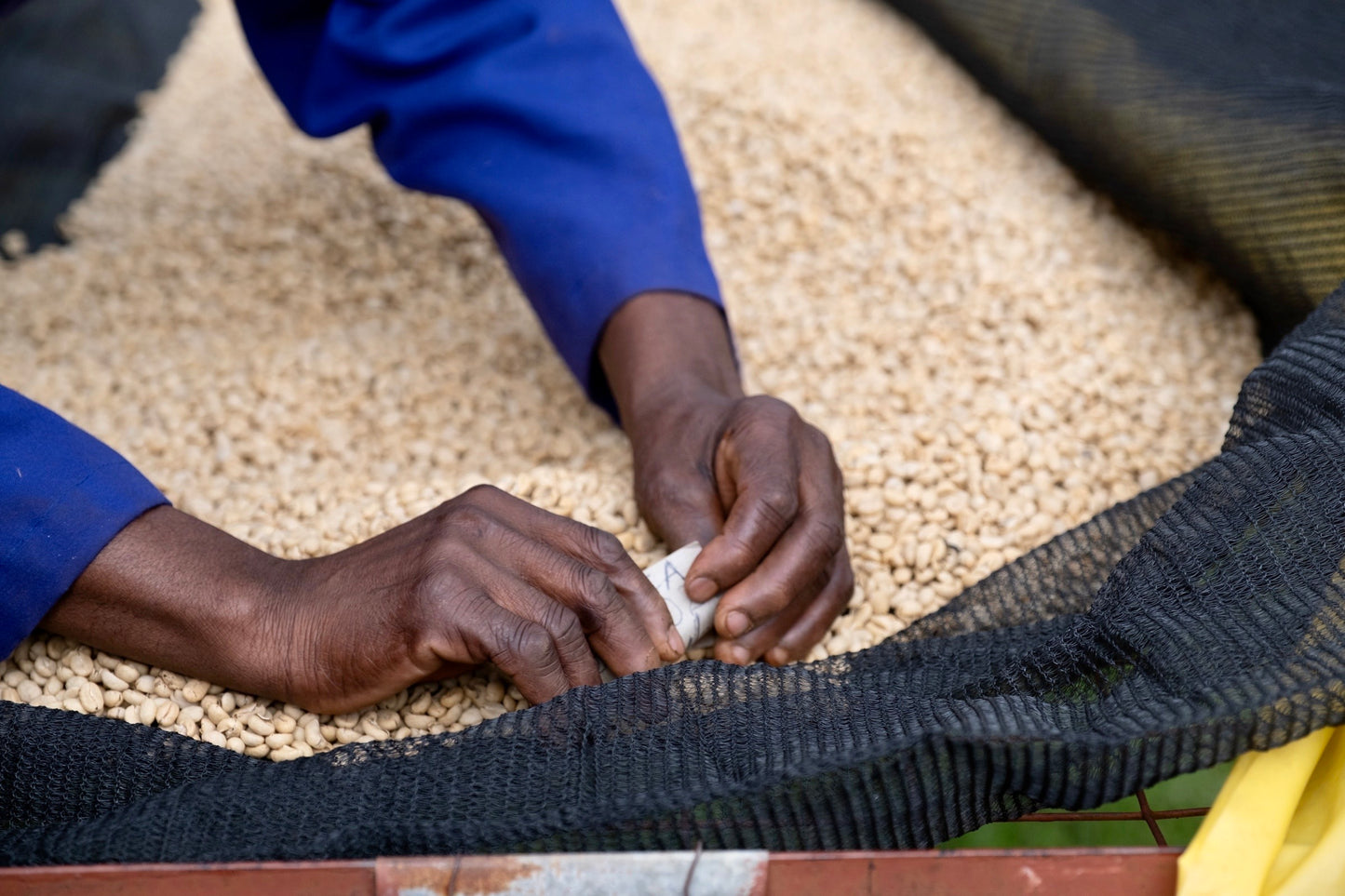 Kenya - Kiawamururu