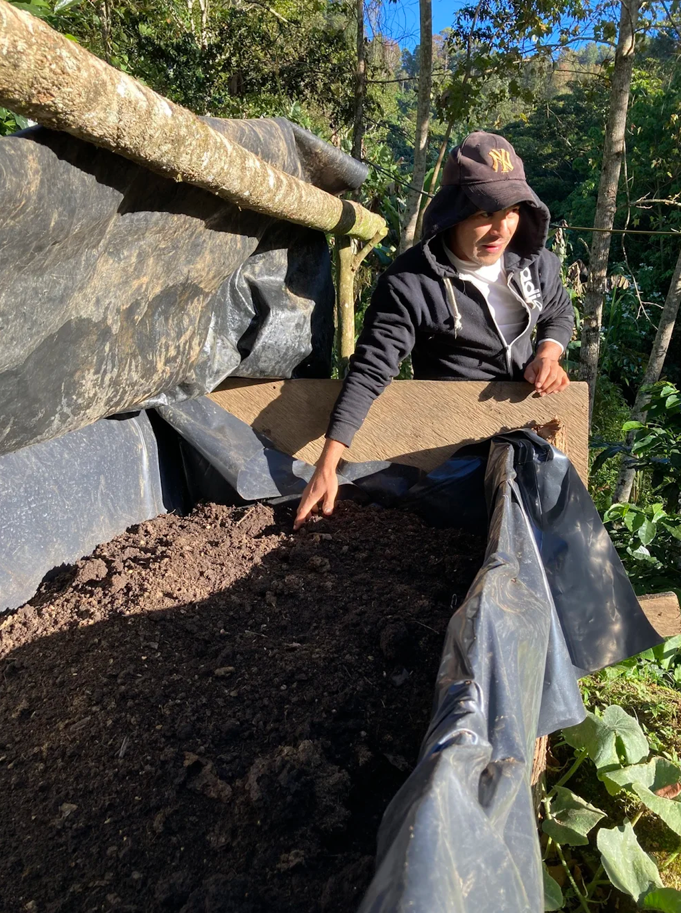 Nicaragua - El Hormiguero