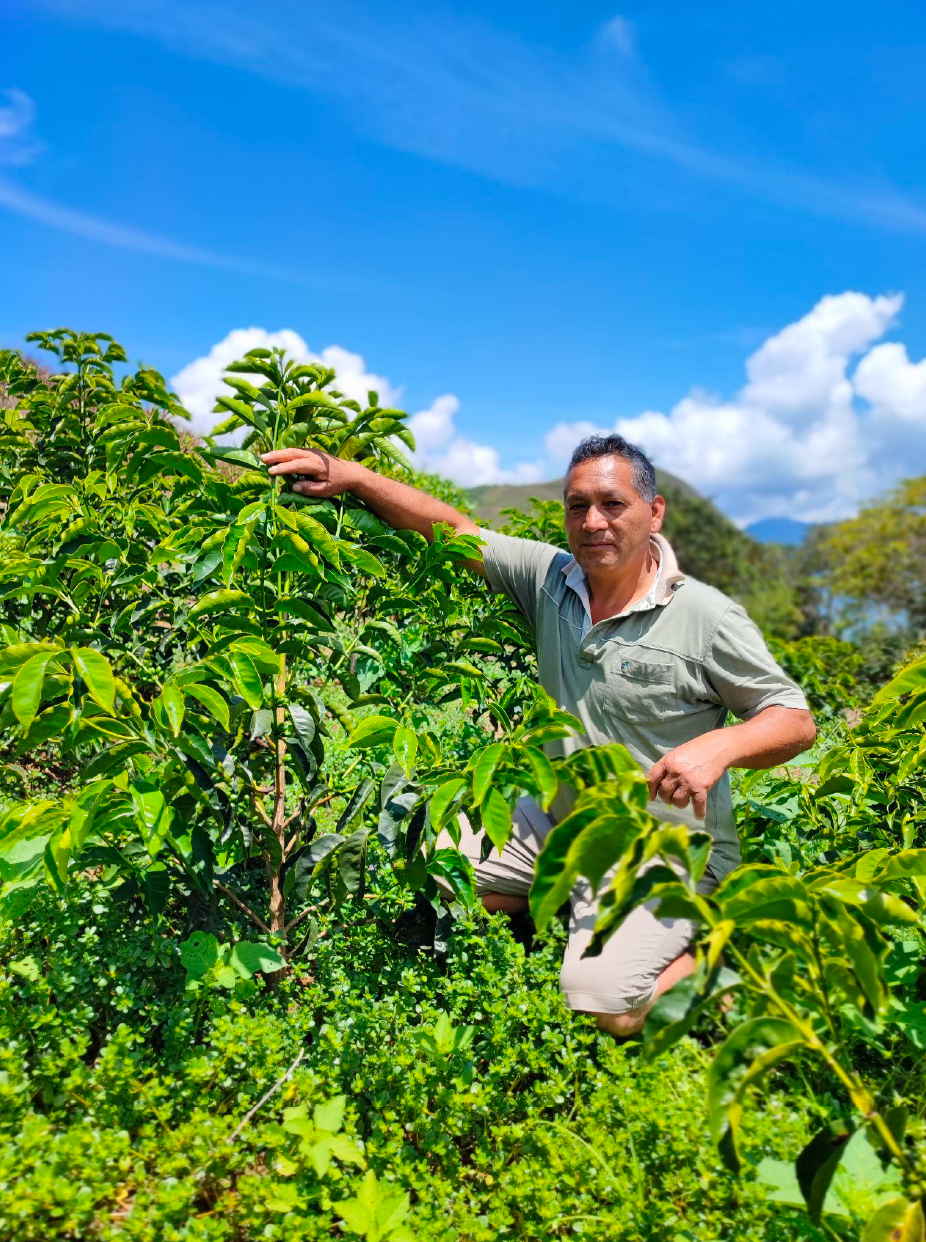 Espresso Peru - Don Vega