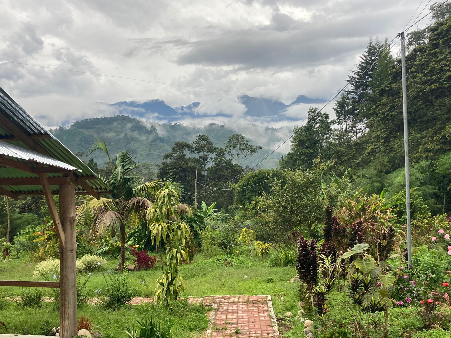 Peru - Fredy Huachohuillca