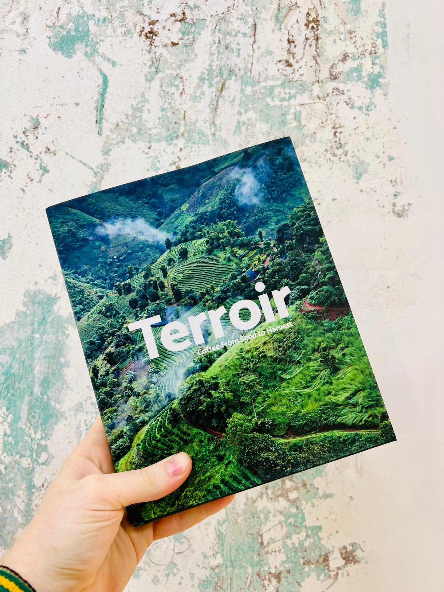 Terroir - Coffee from seed to harvest