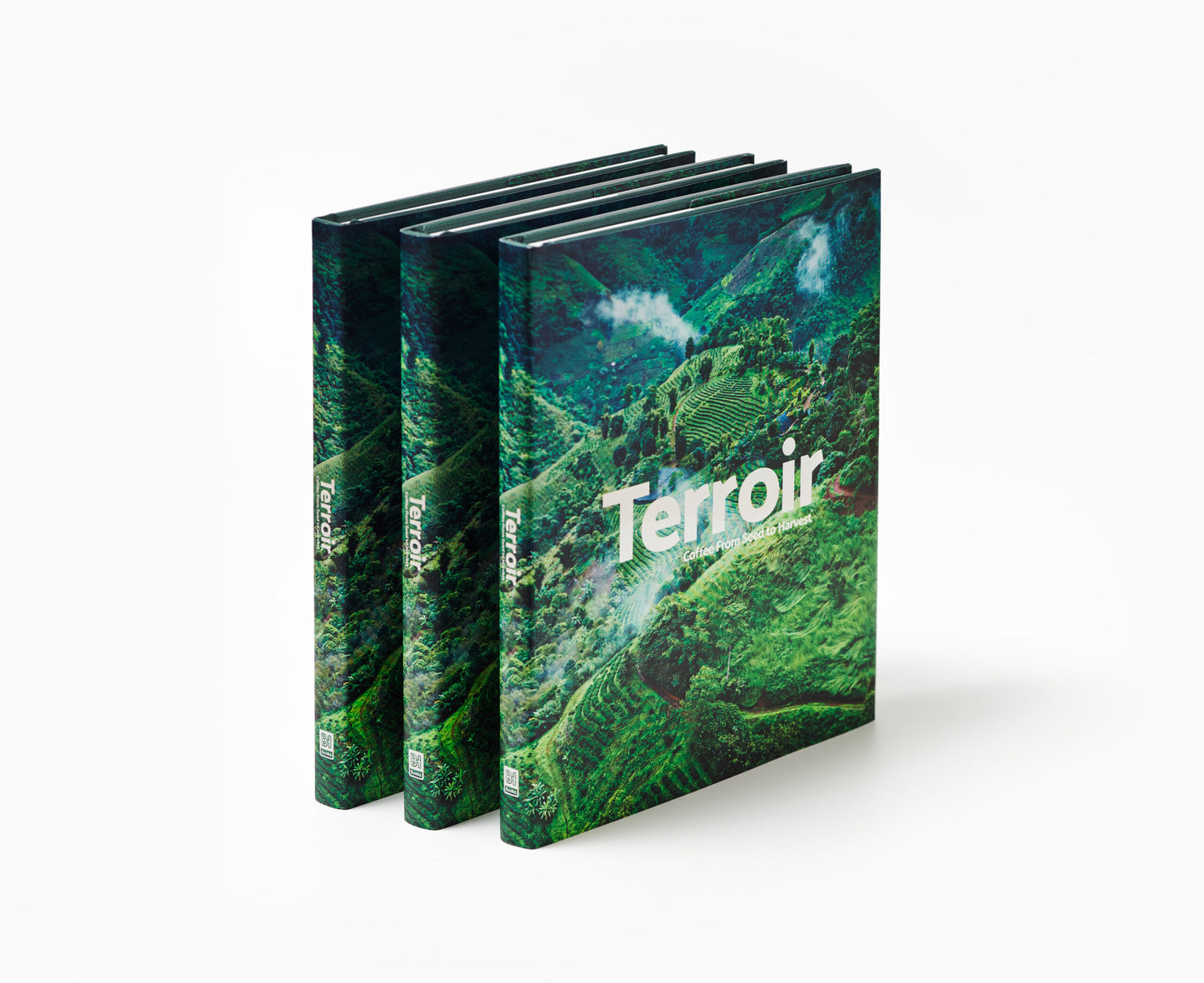 Terroir - Coffee from seed to harvest