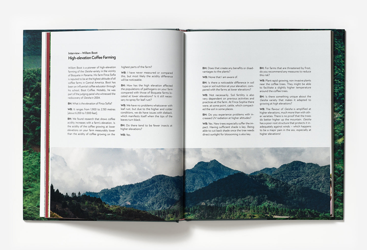 Terroir - Coffee from seed to harvest