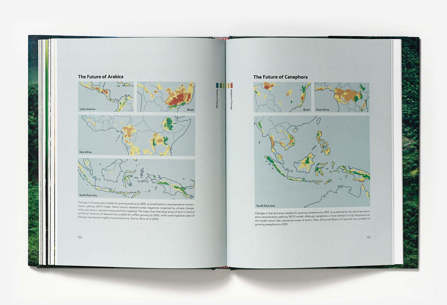 Terroir - Coffee from seed to harvest