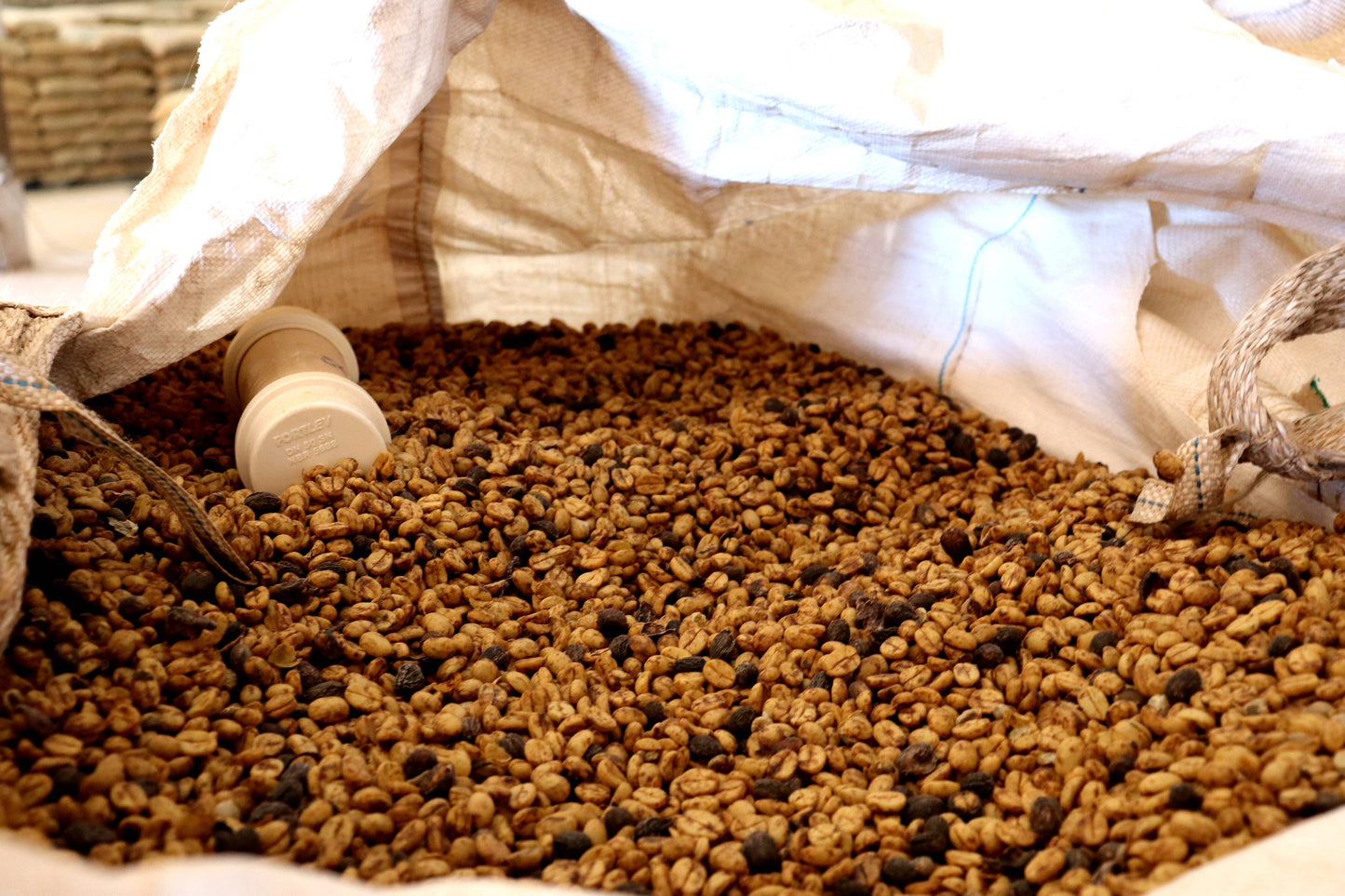 Espresso Brésil - Arco Iris
