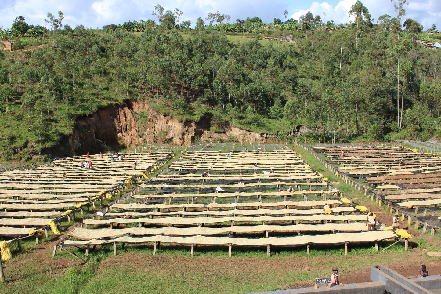 Burundi - Kibingo Oro