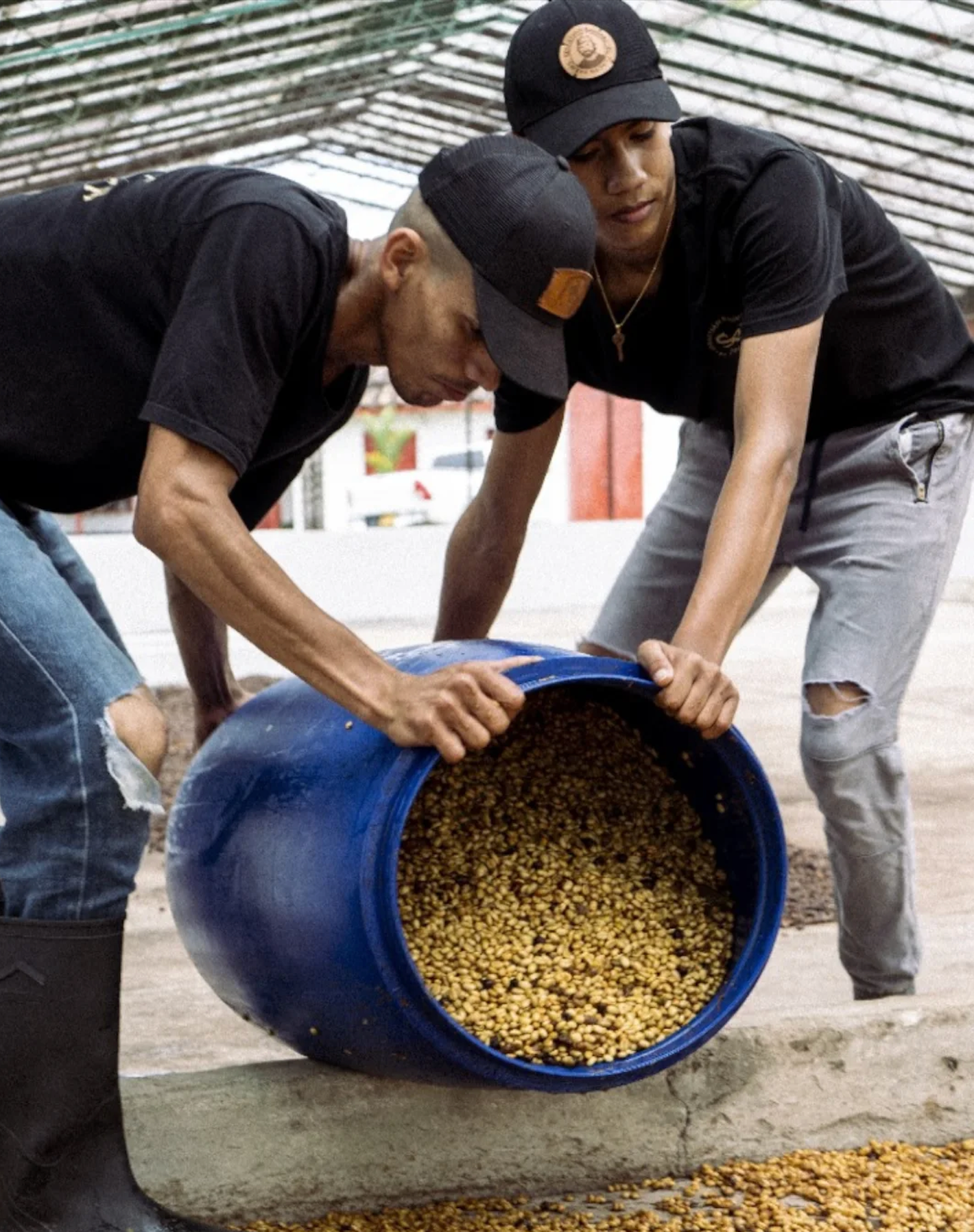 Colombie - El Placer IPA