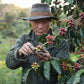 Espresso - Chine - Fuyan