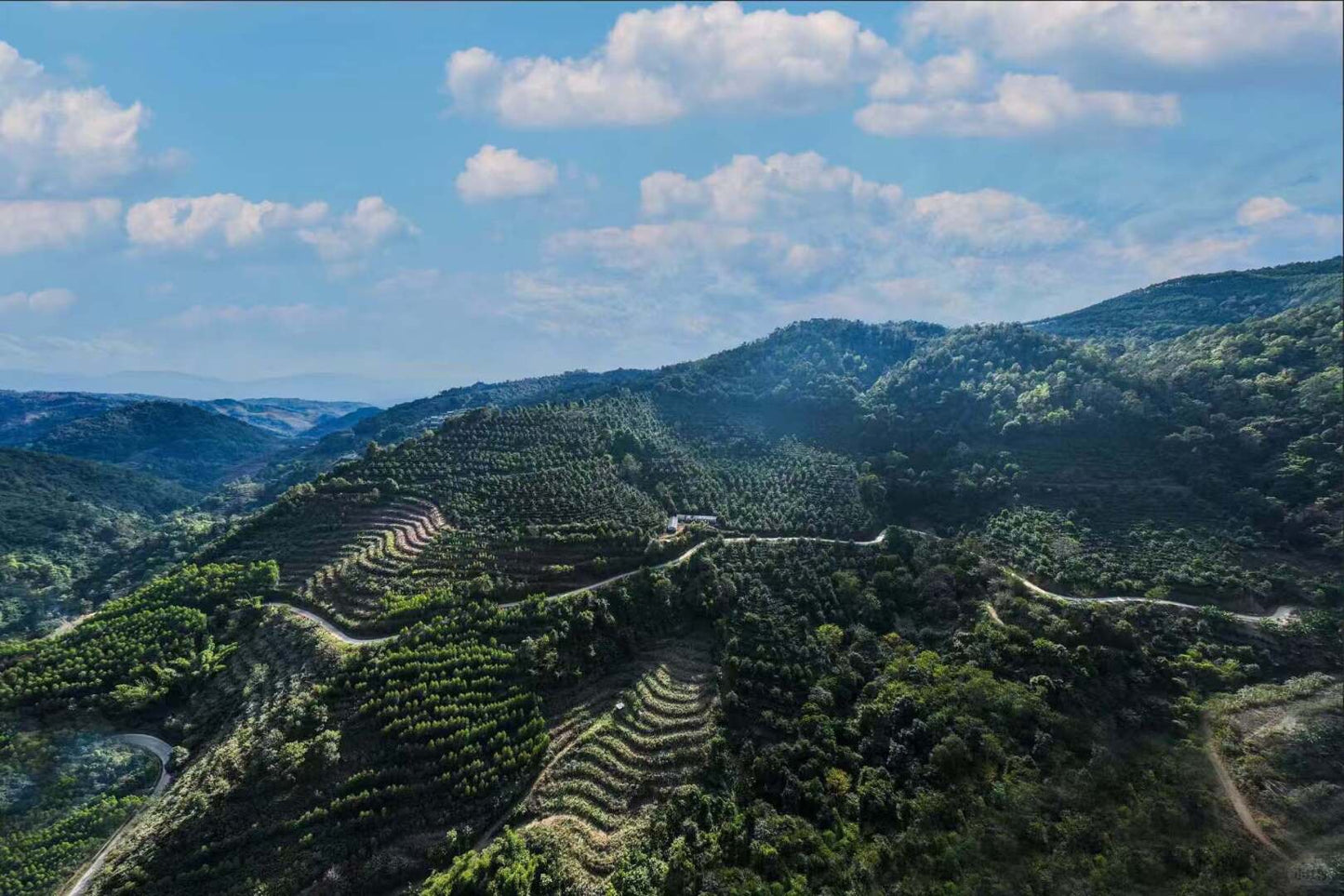 Chine - Tianhao