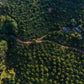 Chine - Tianhao