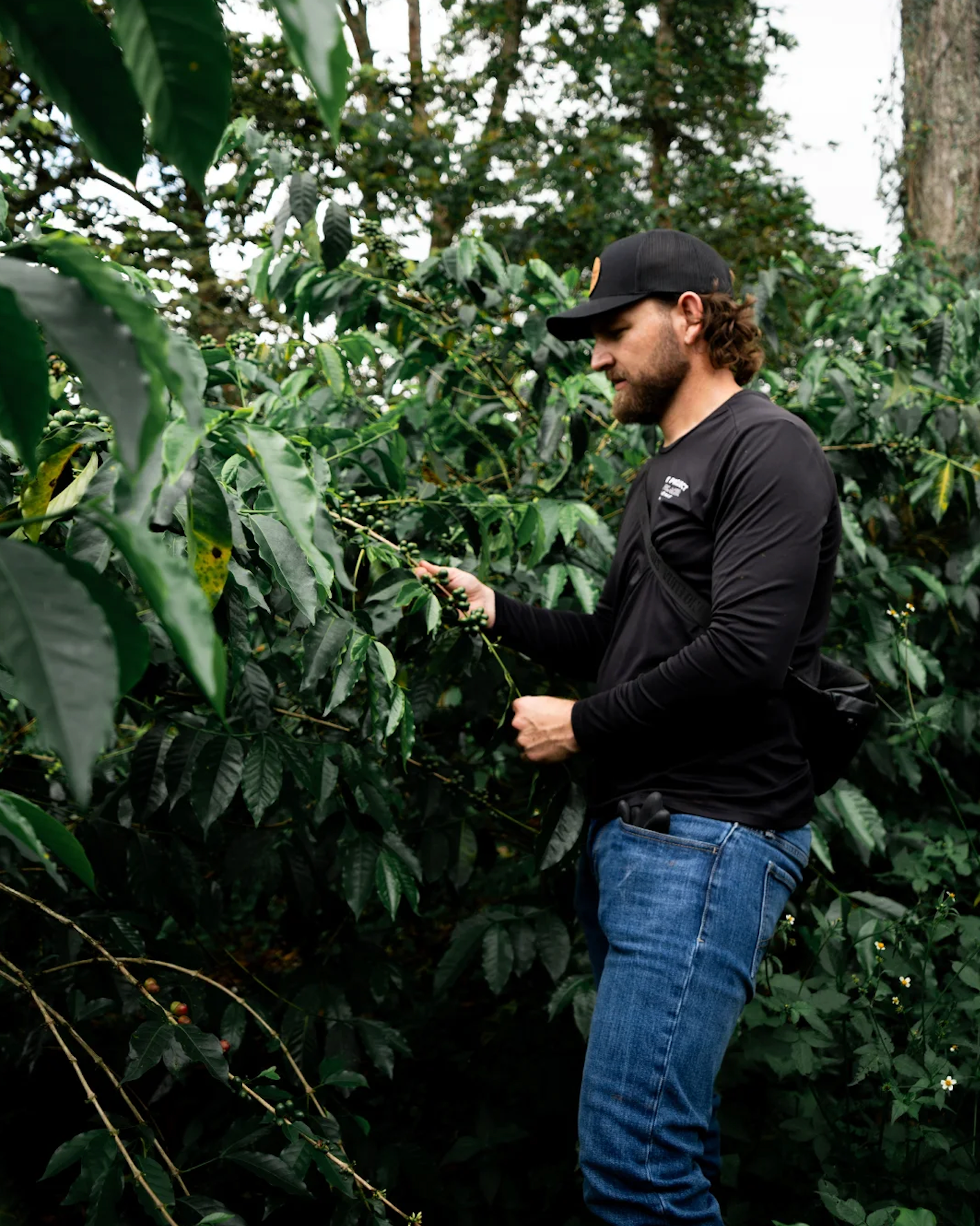 Colombie - El Placer IPA