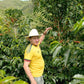 Espresso - Colombie - El Origen