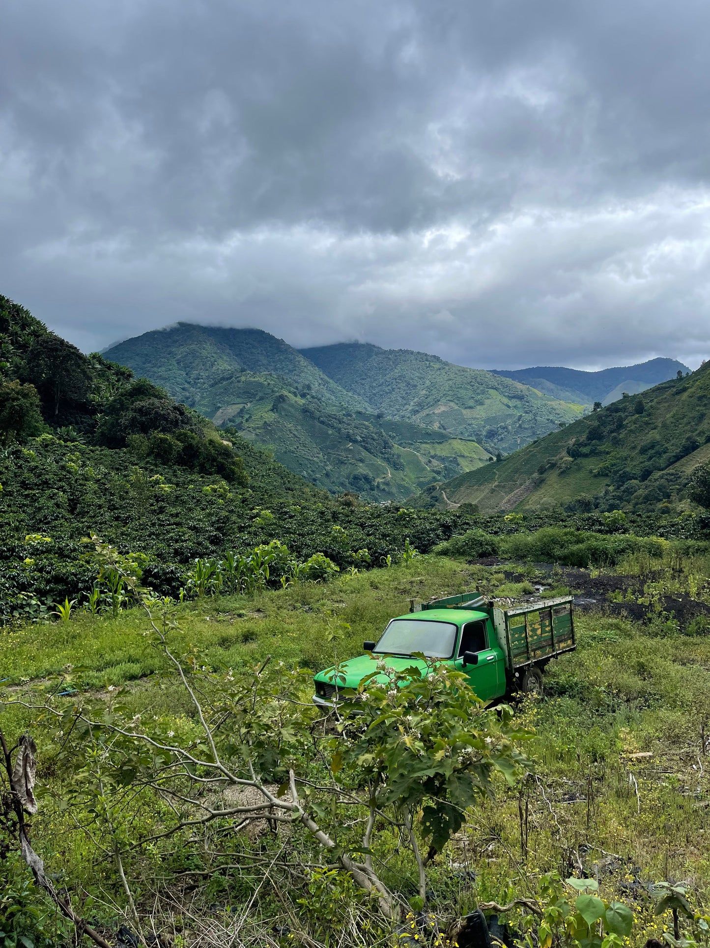 Costa Rica - El Salitre