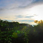 Espresso - Costa Rica - Hacienda Sonora