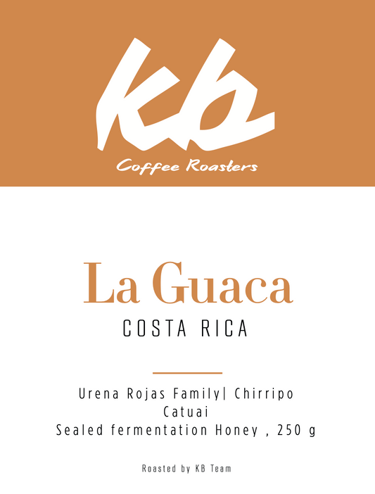 Costa Rica - La Guaca