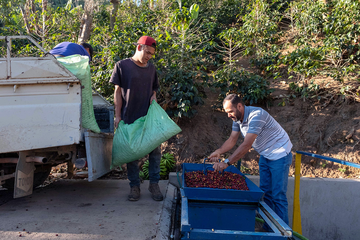 Costa Rica - La Pachuca