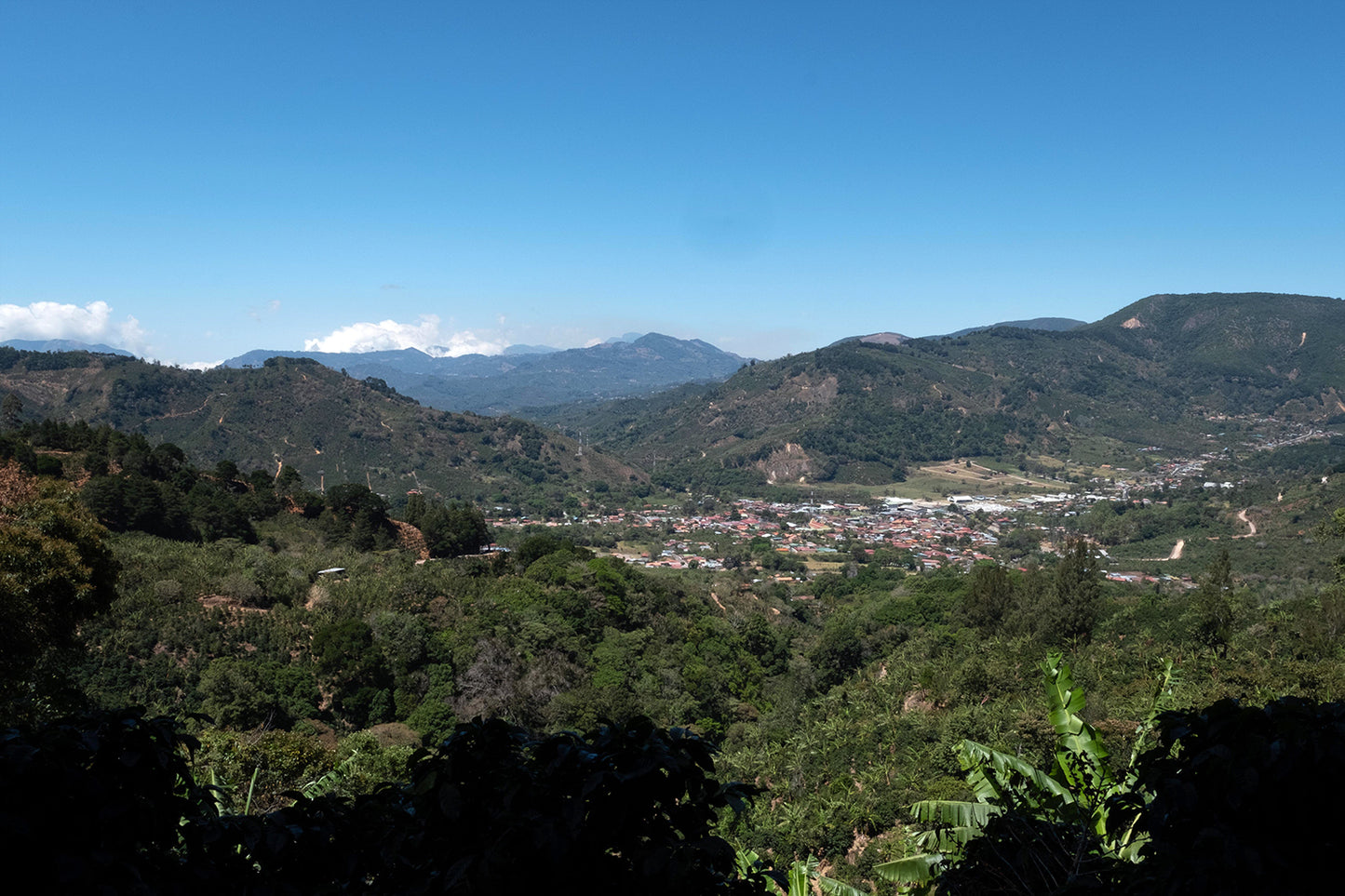 Costa Rica - La Pachuca