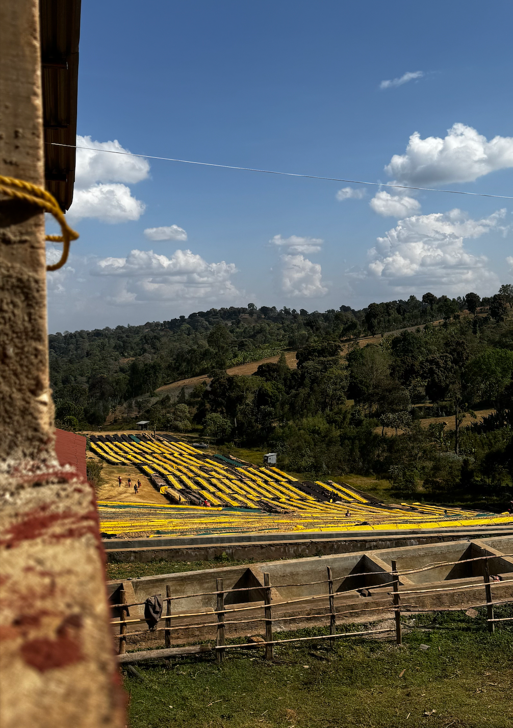 Ethiopie - Tagel Alamayehu