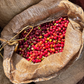 Ethiopie - Tagel Alamayehu
