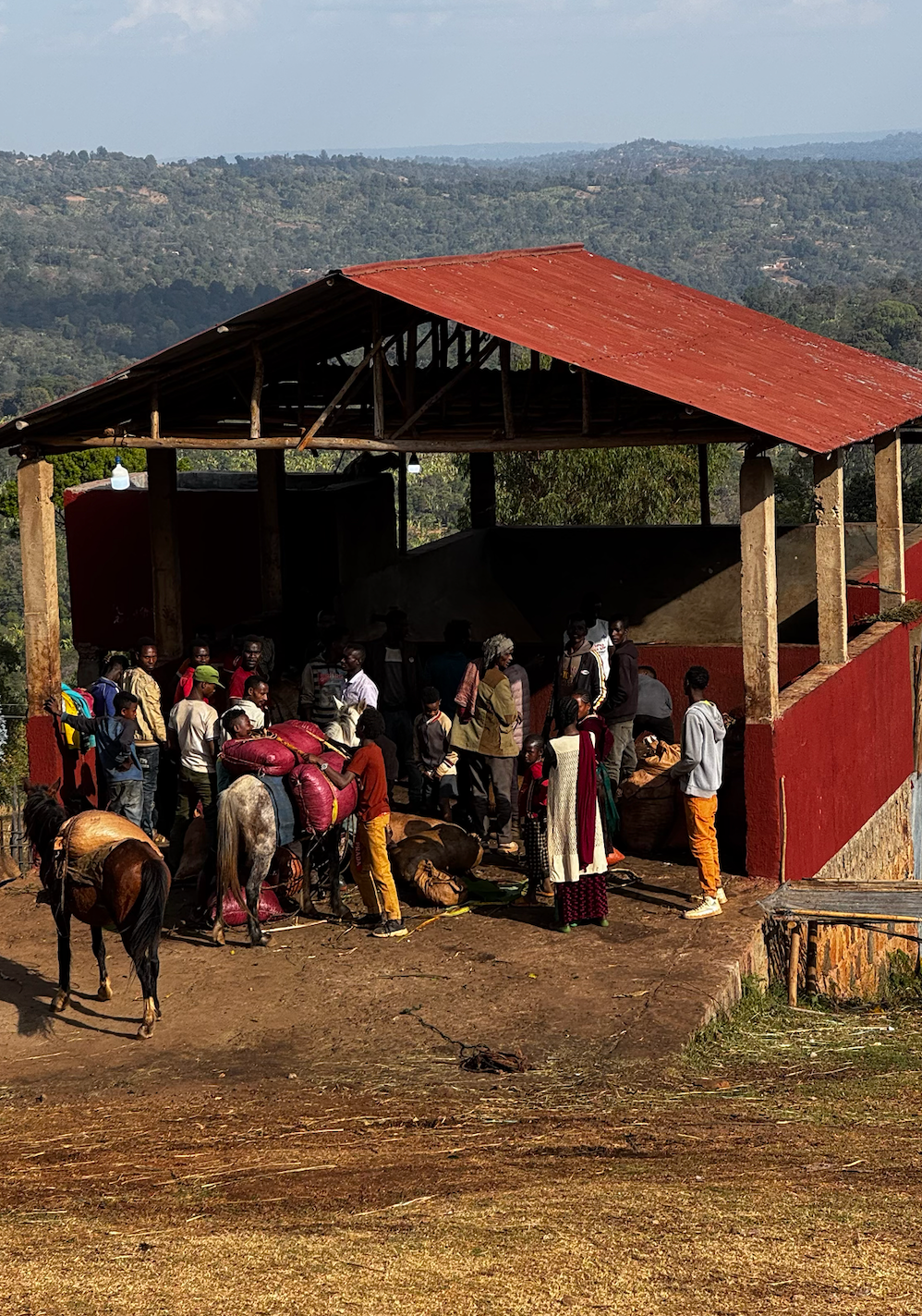 Ethiopie - Tagel Alamayehu