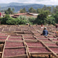 Espresso - Ethiopie - Daanisa