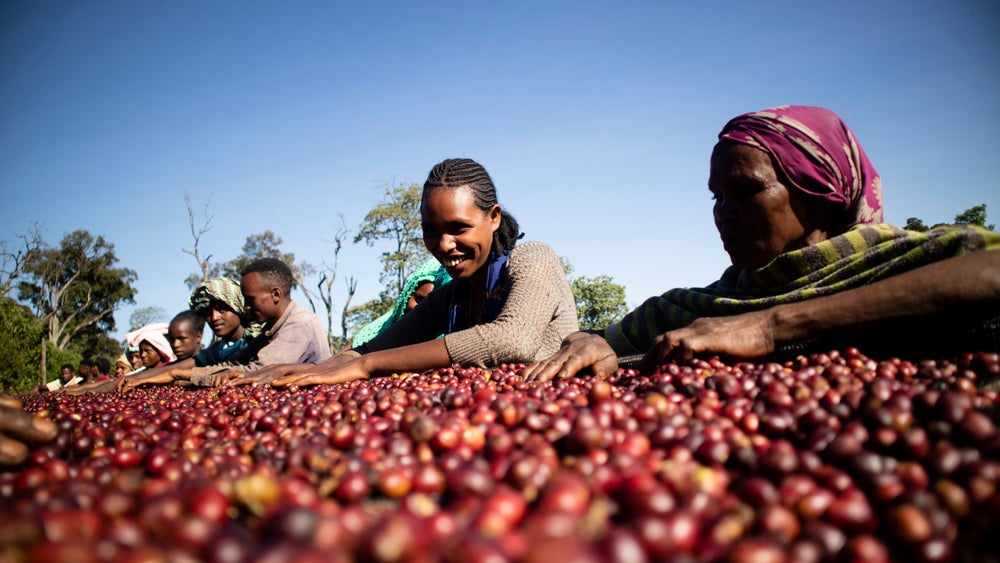 Ethiopie - Gubata