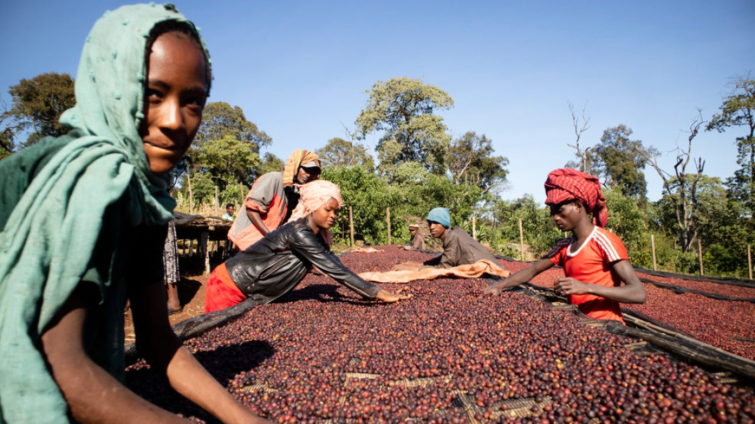 Ethiopie - Gubata