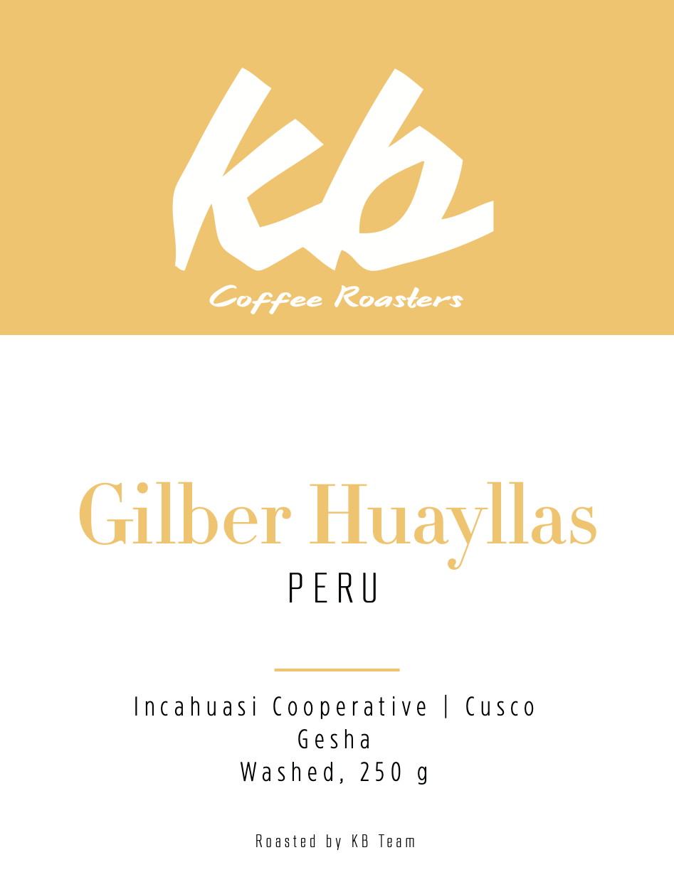 Peru - Gilber Huayllas