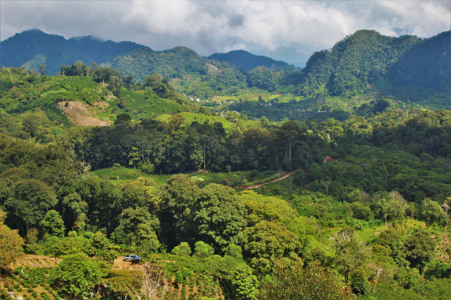 Honduras - Don Pancho