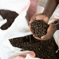 Kenya - Busaara Anaerobic