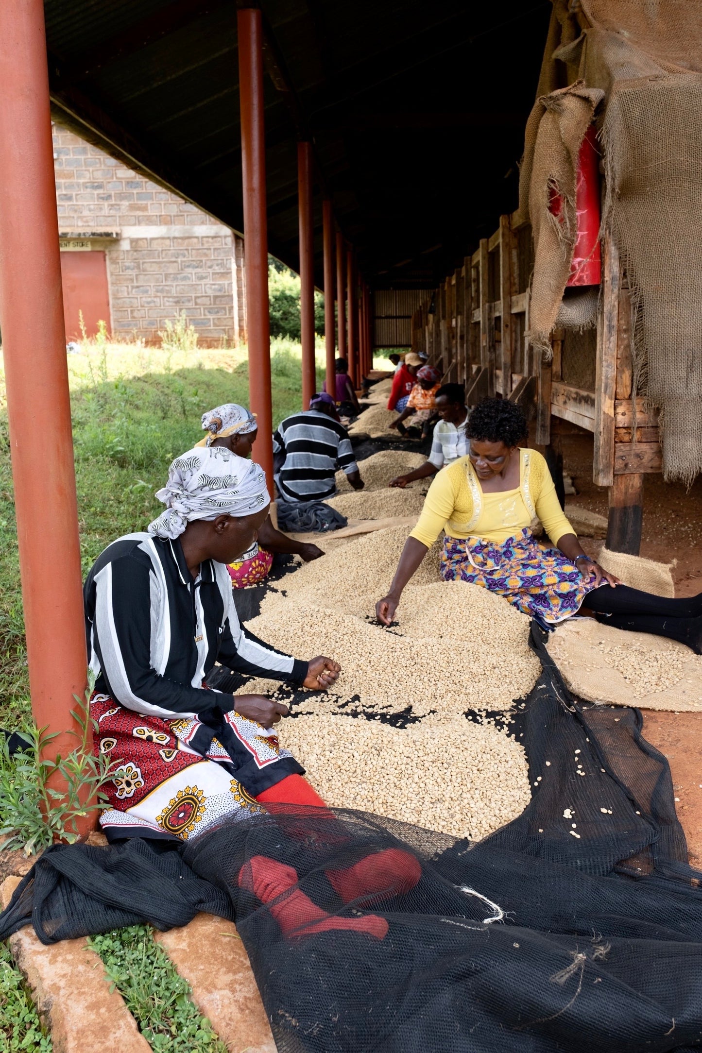 Kenya - Kiawamururu