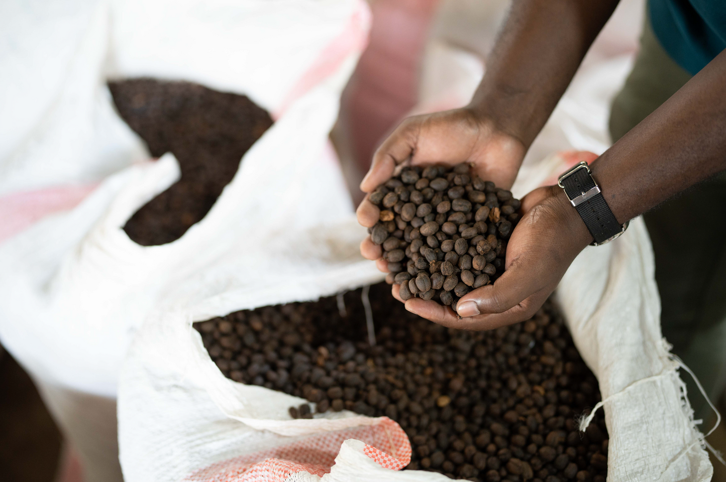 Kenya - Wild Bomba Anaerobic